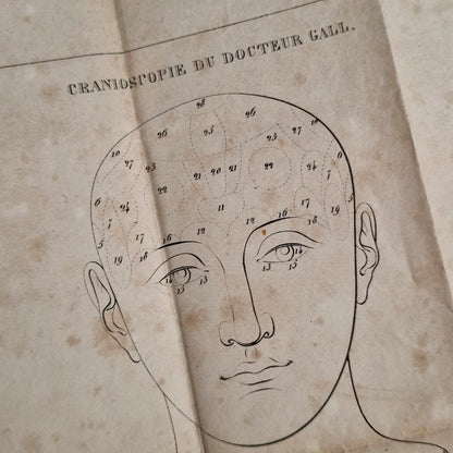 Rare Livre Cranologie du Docteur Gall - 1828