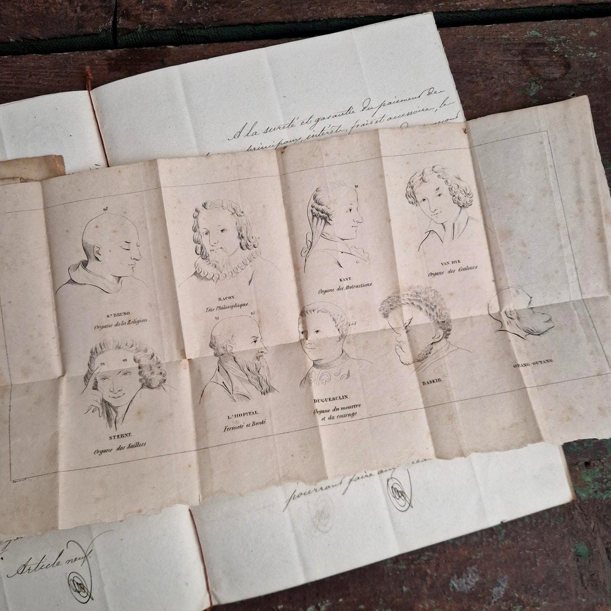 Rare Livre Cranologie du Docteur Gall - 1828