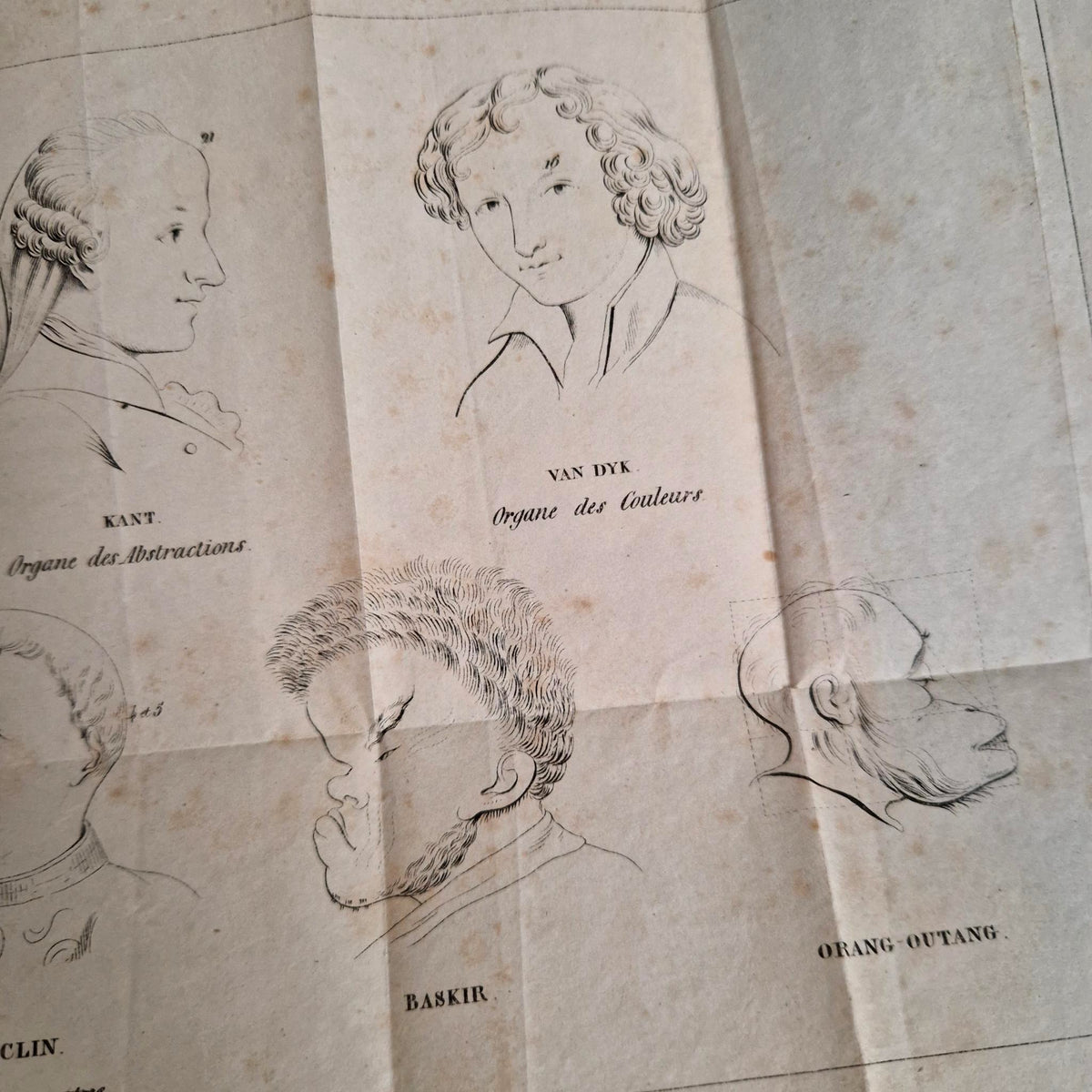 Rare Livre Cranologie du Docteur Gall - 1828