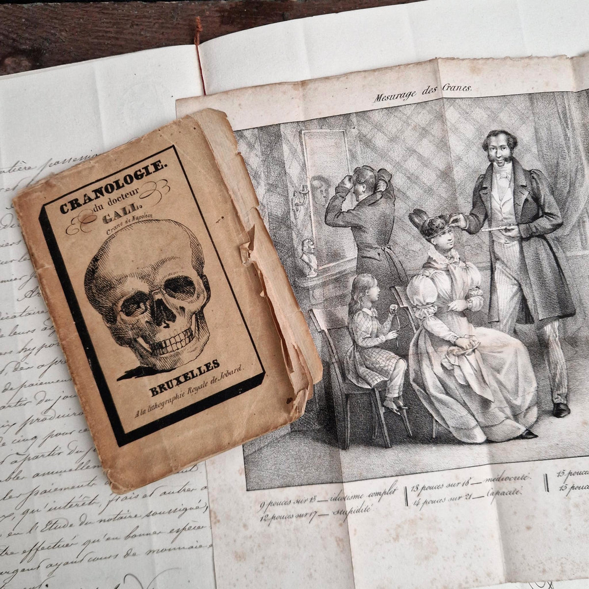 Rare Livre Cranologie du Docteur Gall - 1828