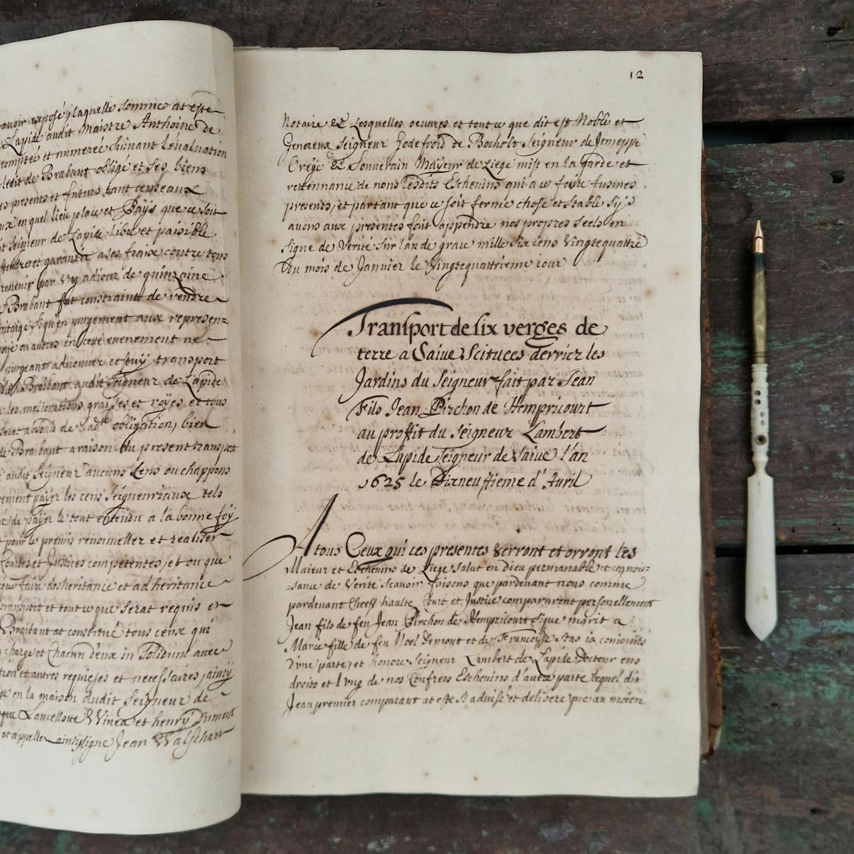 Registre manuscrit seigneurie de Saive - Vers 1615 - 682 pp