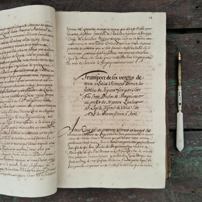 Registre manuscrit seigneurie de Saive - Vers 1615 - 682 pp