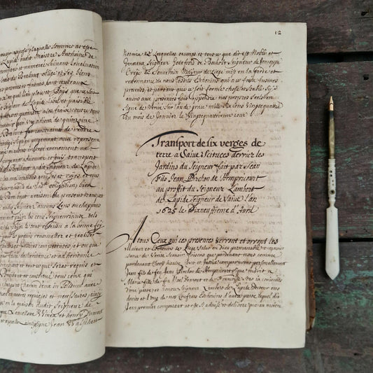 Registre manuscrit seigneurie de Saive - Vers 1615 - 682 pp