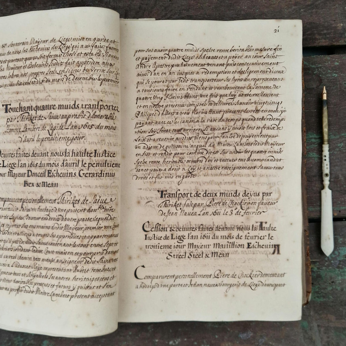 Registre manuscrit seigneurie de Saive - Vers 1615 - 682 pp