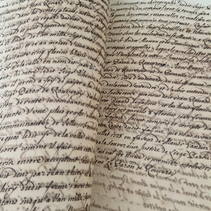 Registre manuscrit seigneurie de Saive - Vers 1615 - 682 pp
