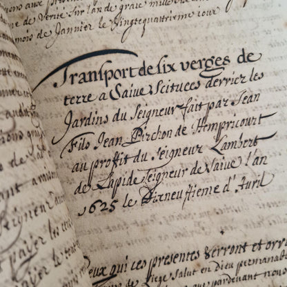 Registre manuscrit seigneurie de Saive - Vers 1615 - 682 pp