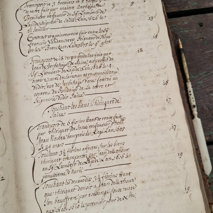 Registre manuscrit seigneurie de Saive - Vers 1615 - 682 pp