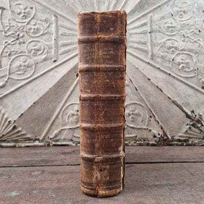 Registre manuscrit seigneurie de Saive - Vers 1615 - 682 pp