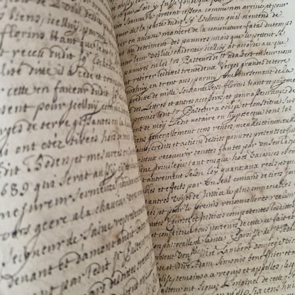 Registre manuscrit seigneurie de Saive - Vers 1615 - 682 pp