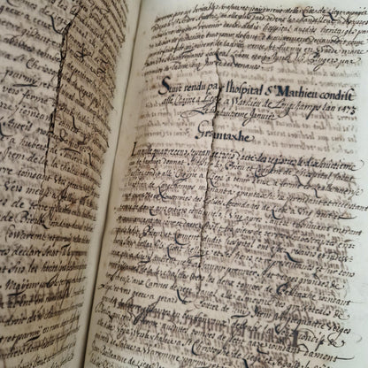 Registre manuscrit seigneurie de Saive - Vers 1615 - 682 pp