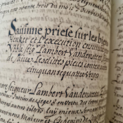 Registre manuscrit seigneurie de Saive - Vers 1615 - 682 pp