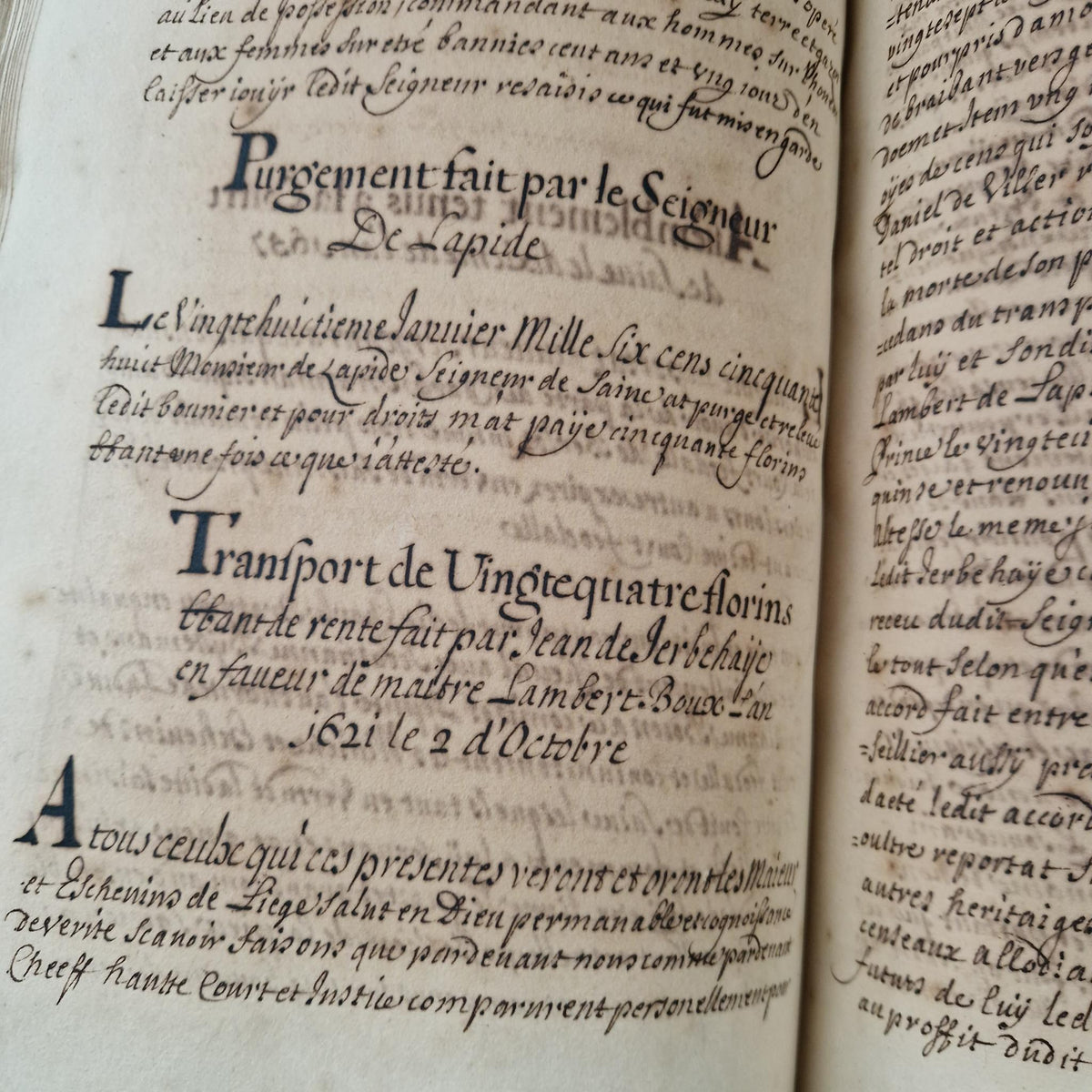 Registre manuscrit seigneurie de Saive - Vers 1615 - 682 pp