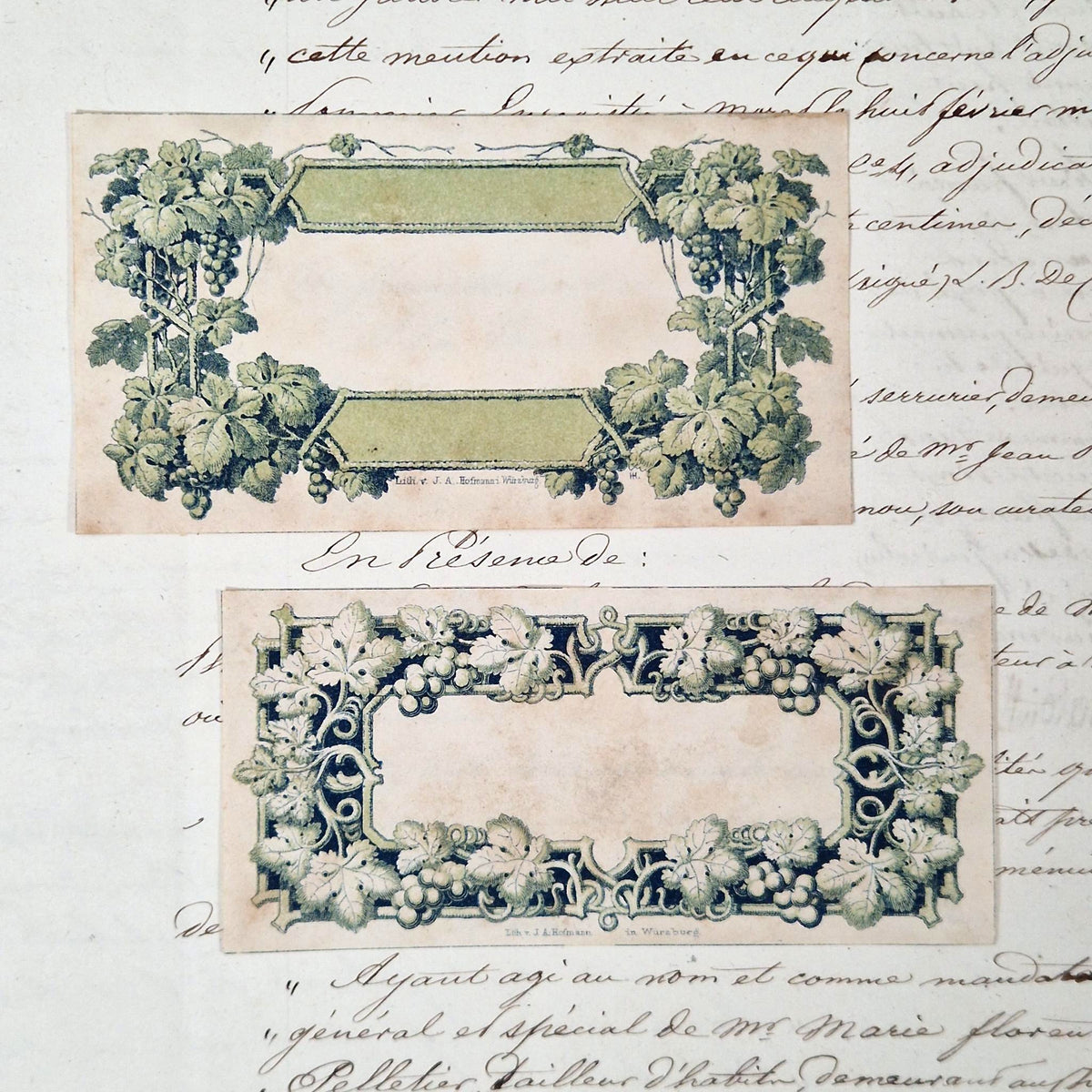 Modèles d’étiquettes anciennes « Vignes vertes » - Vers 1860