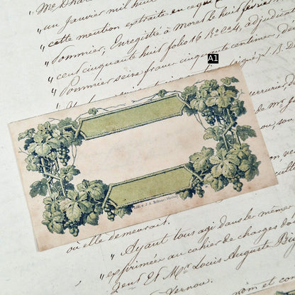 Modèles d’étiquettes anciennes « Vignes vertes » - Vers 1860
