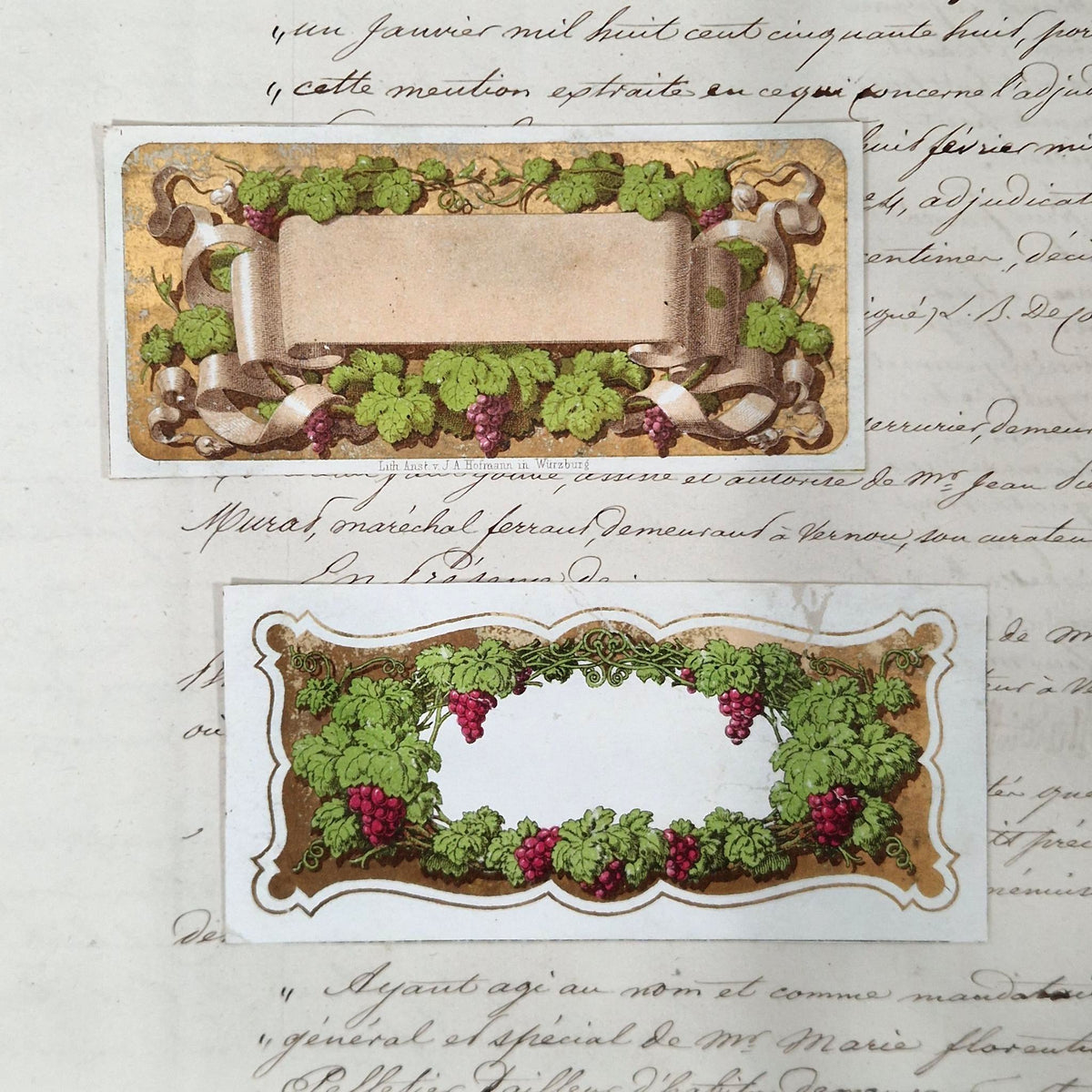 Modèles d’étiquettes anciennes « Pampres et rubans » - XIXe