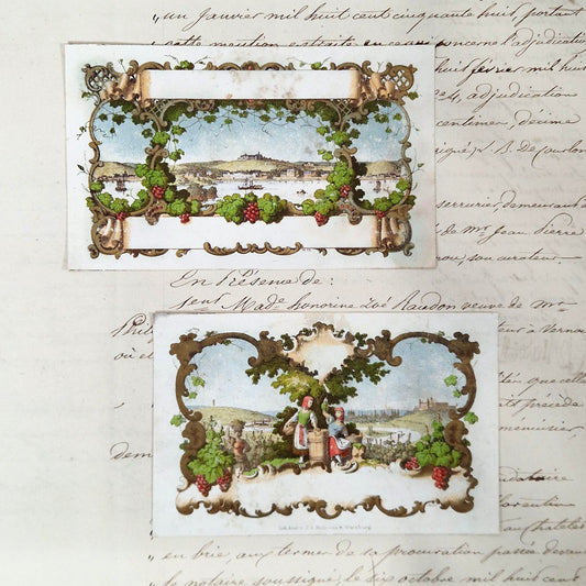 "Vine Leaves and Grapes" Label Designs - 19th Century