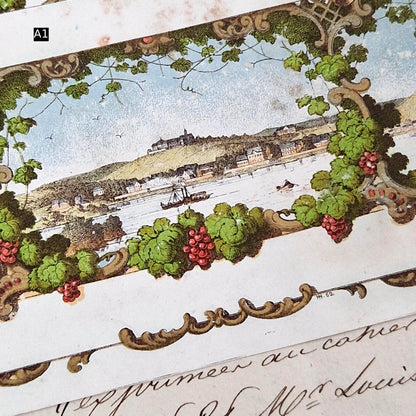 Modèles d’étiquettes « Pampres et vendanges » - XIXe
