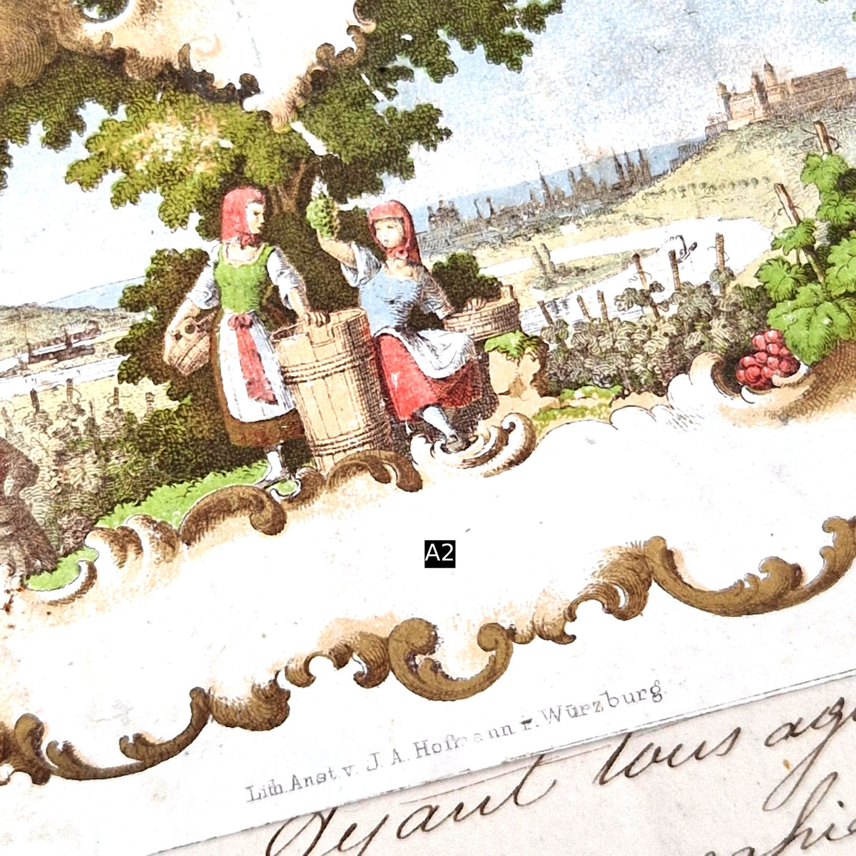 Modèles d’étiquettes « Pampres et vendanges » - XIXe