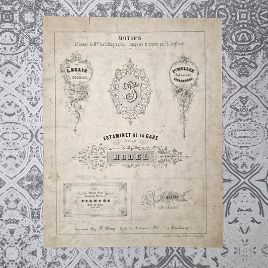 Typographical & Ornament Patterns 19th Century