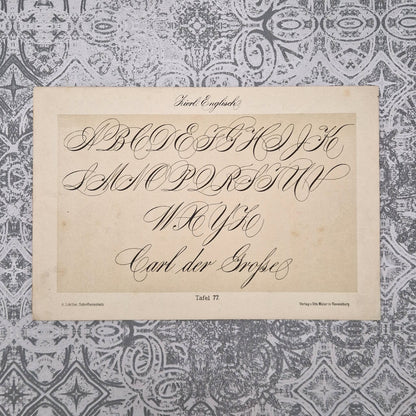 Planche de calligraphie « Écriture anglaise ornée »