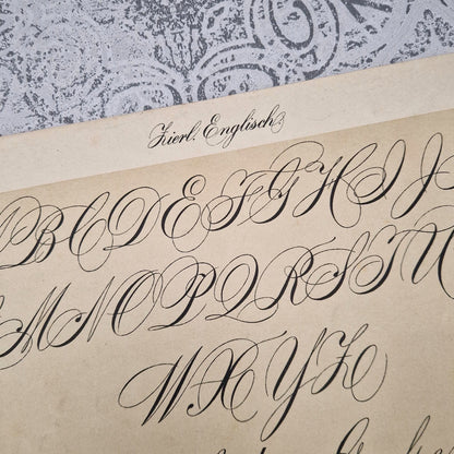 Planche de calligraphie « Écriture anglaise ornée »