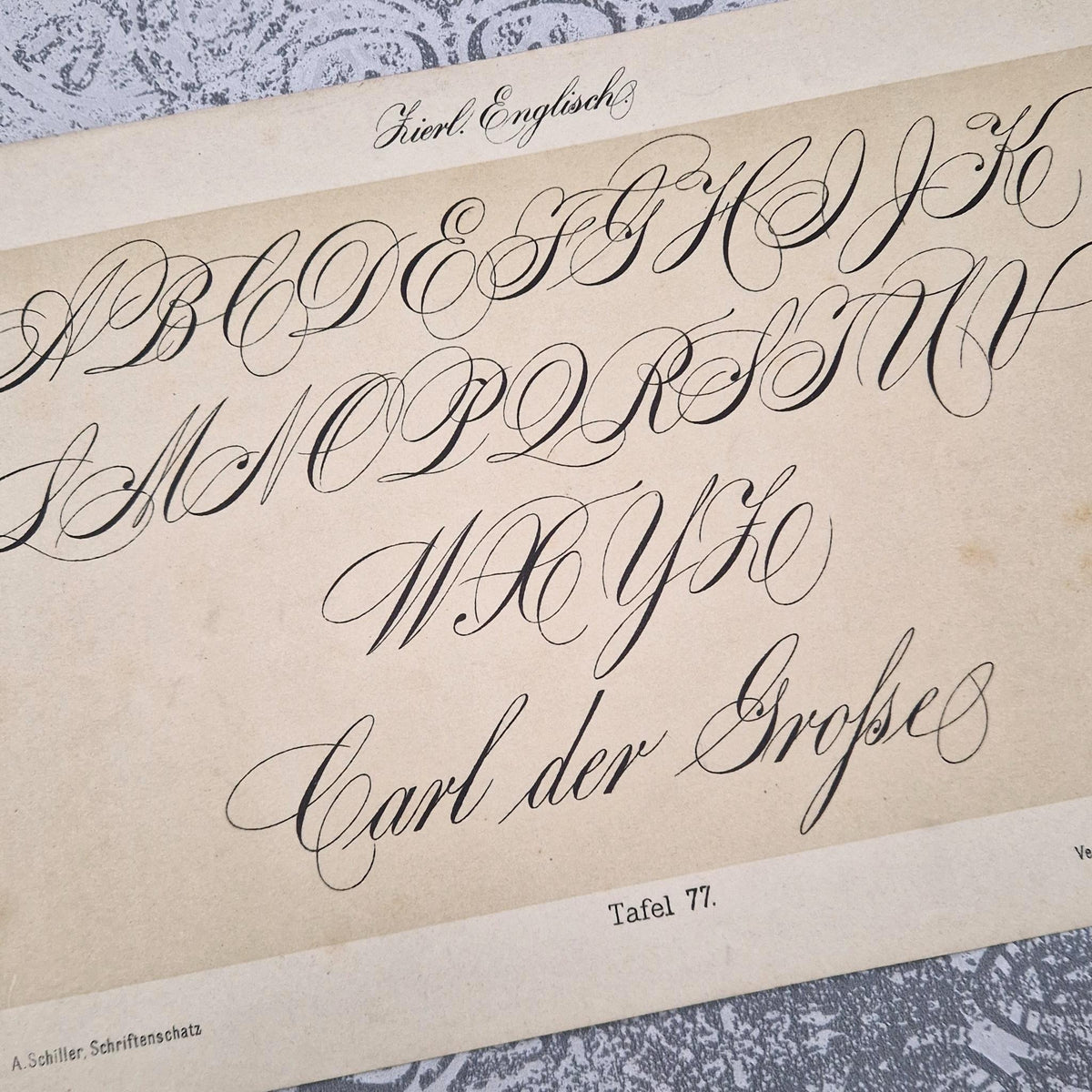 Planche de calligraphie « Écriture anglaise ornée »