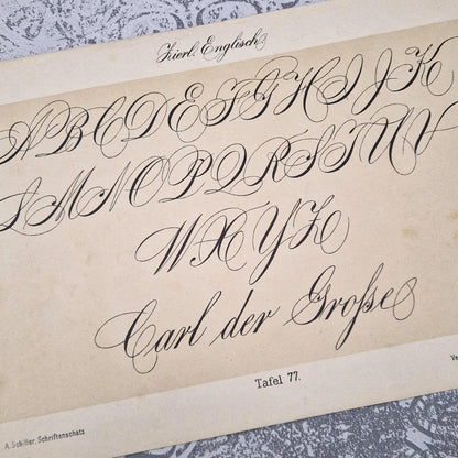 Planche de calligraphie « Écriture anglaise ornée »
