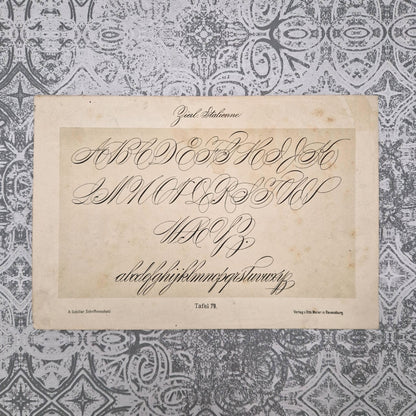 Planche « Écriture italienne décorative » - Vers 1890
