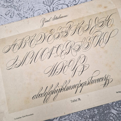 Planche « Écriture italienne décorative » - Vers 1890