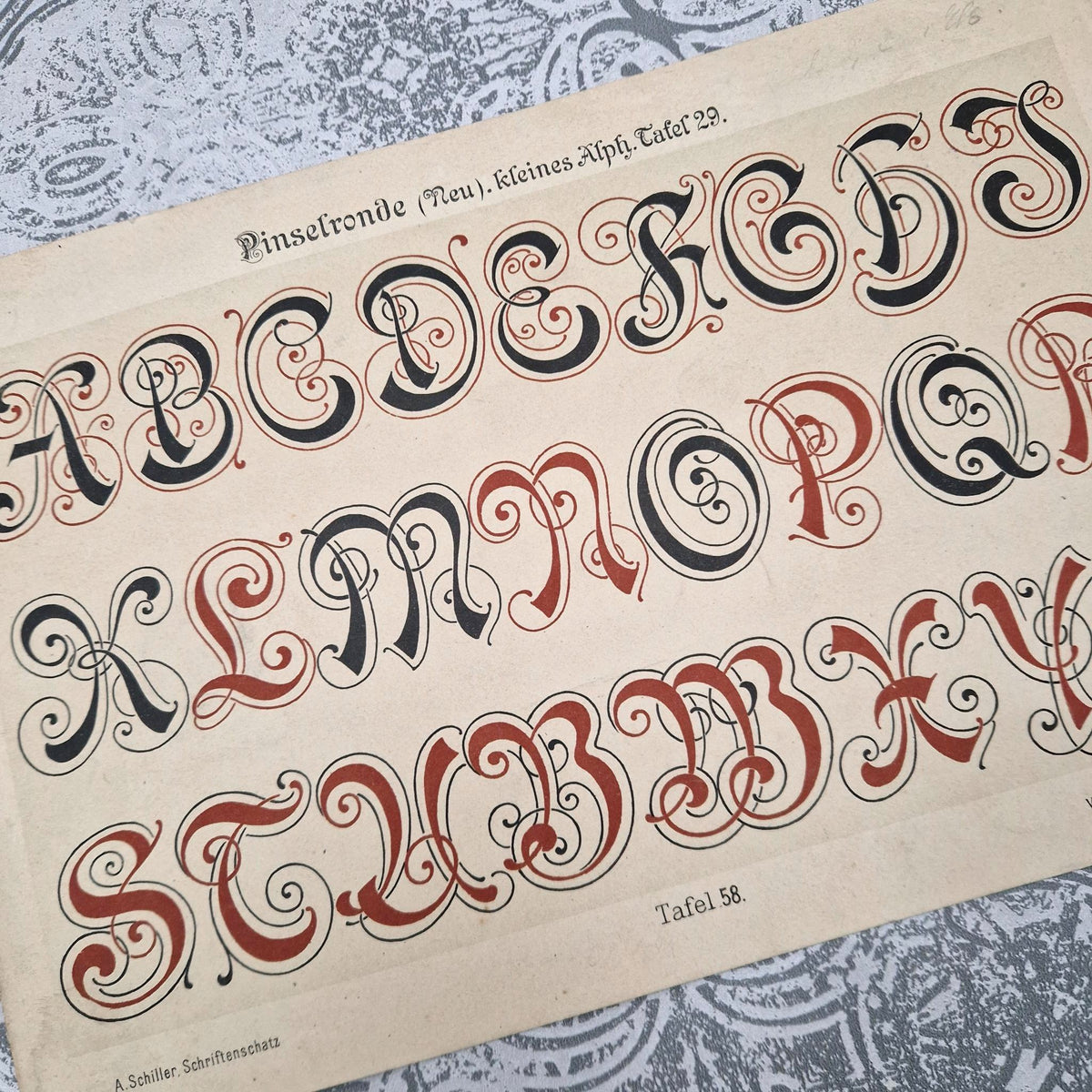 Planche de lettres « Alphabet rond au pinceau » - Fin XIXe