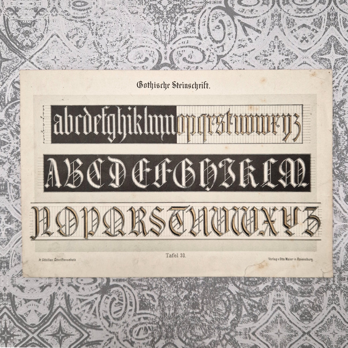 Planche de typographie gothique « Alphabet lapidaire »