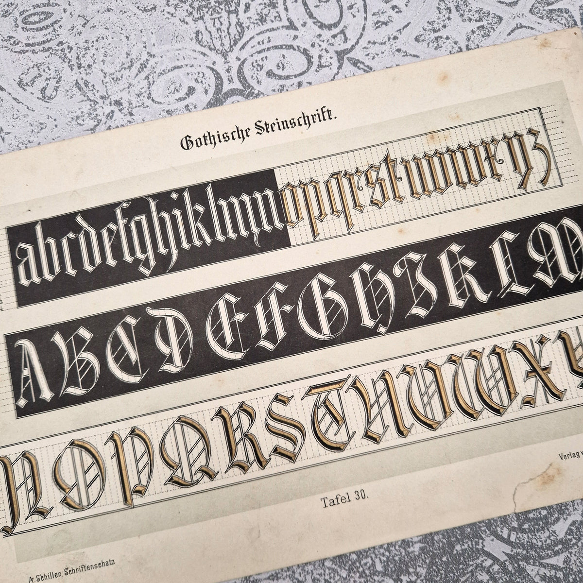 Planche de typographie gothique « Alphabet lapidaire »