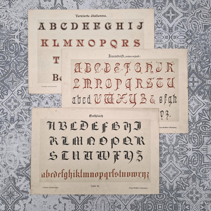 Typographic plates "Gothic, English and Italian"