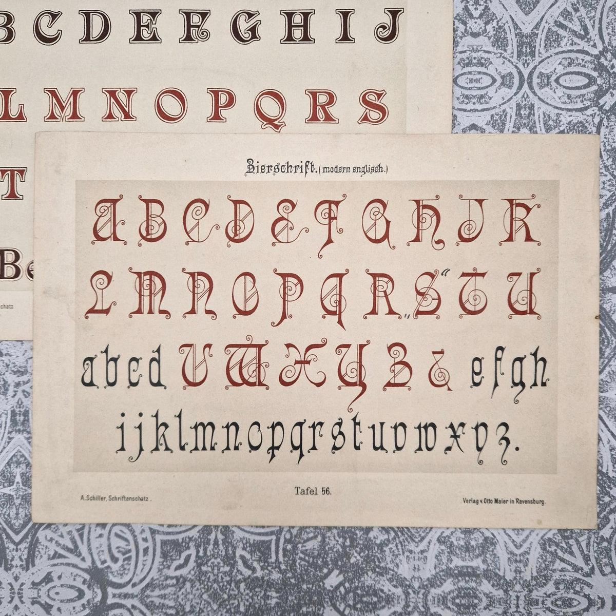 Typographic plates "Gothic, English and Italian"