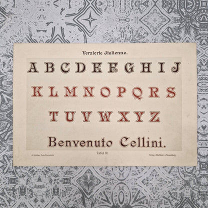 Typographic plates "Gothic, English and Italian"