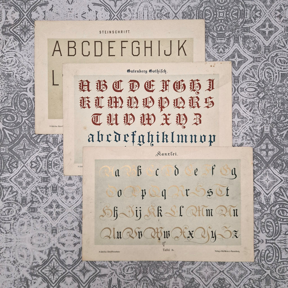 Calligraphy practice sheets "Gothic, Chancery..."