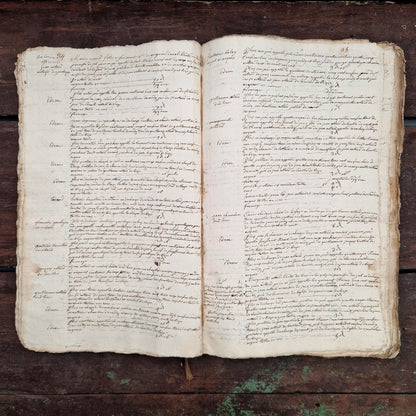 Ancien livre terrier manuscrit - Auvergne, vers 1652 - 245 pages