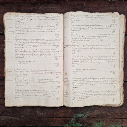 Ancien livre terrier manuscrit - Auvergne, vers 1652 - 245 pages