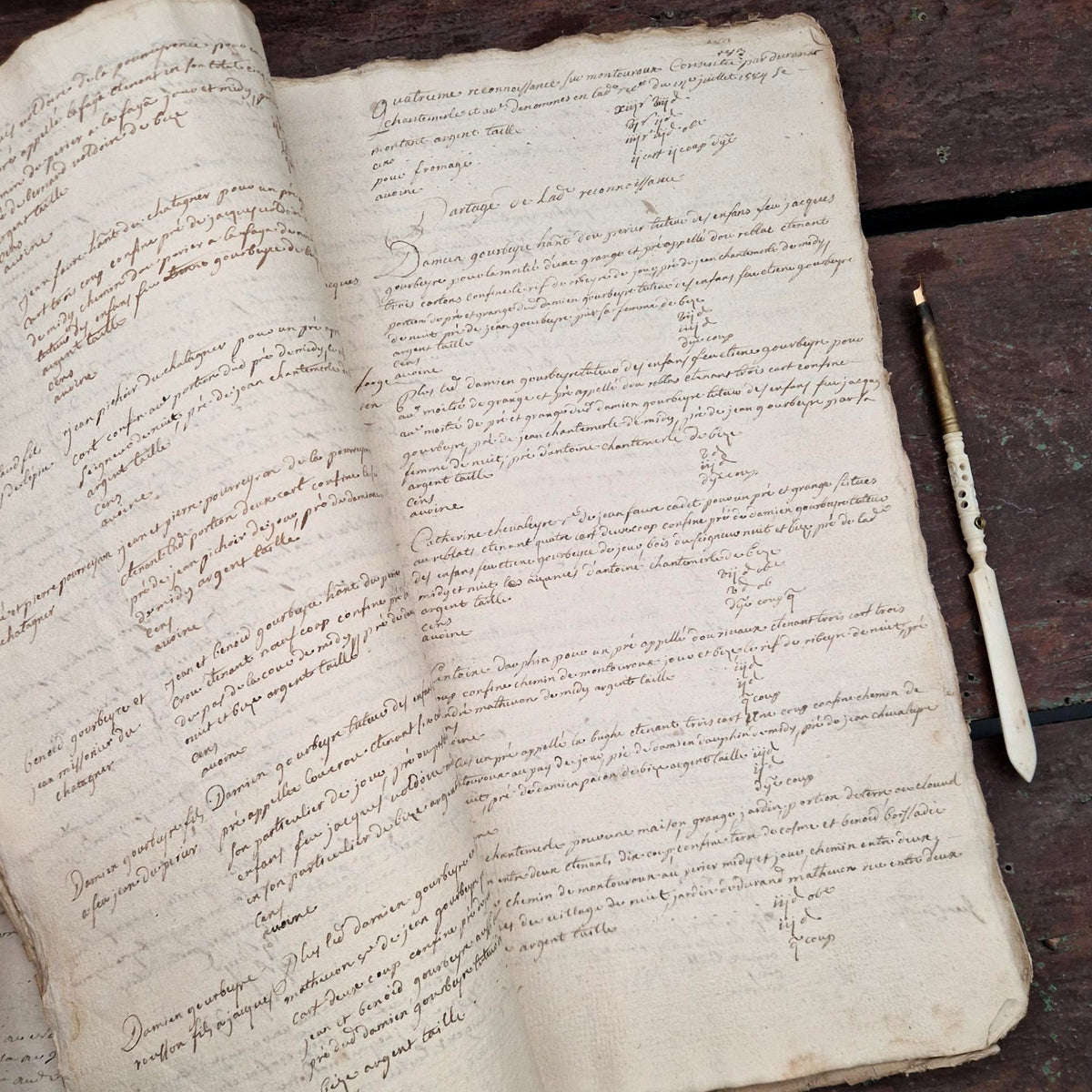 Ancien livre terrier manuscrit - Auvergne, vers 1652 - 245 pages