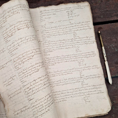 Ancien livre terrier manuscrit - Auvergne, vers 1652 - 245 pages