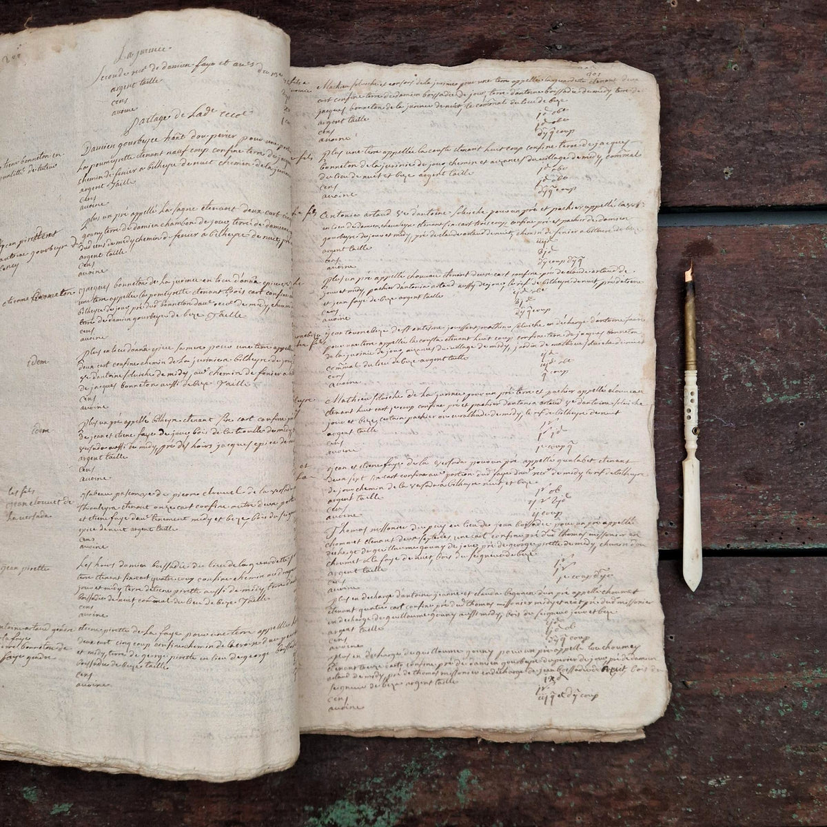 Ancien livre terrier manuscrit - Auvergne, vers 1652 - 245 pages