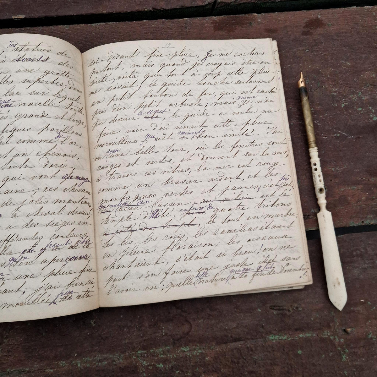 Journal manuscrit de voyage en Italie - Émilie - 1863