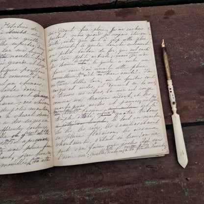 Journal manuscrit de voyage en Italie - Émilie - 1863