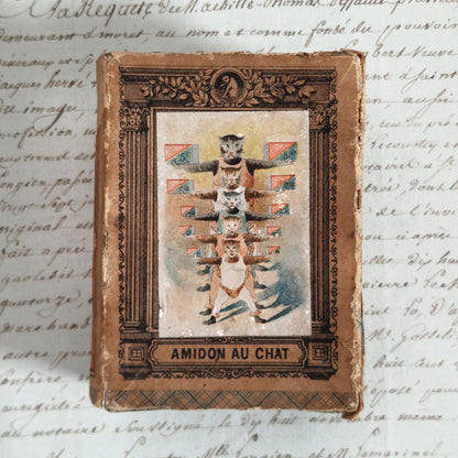 Rare ancienne boîte « Amidon au Chat » - Hoffmann