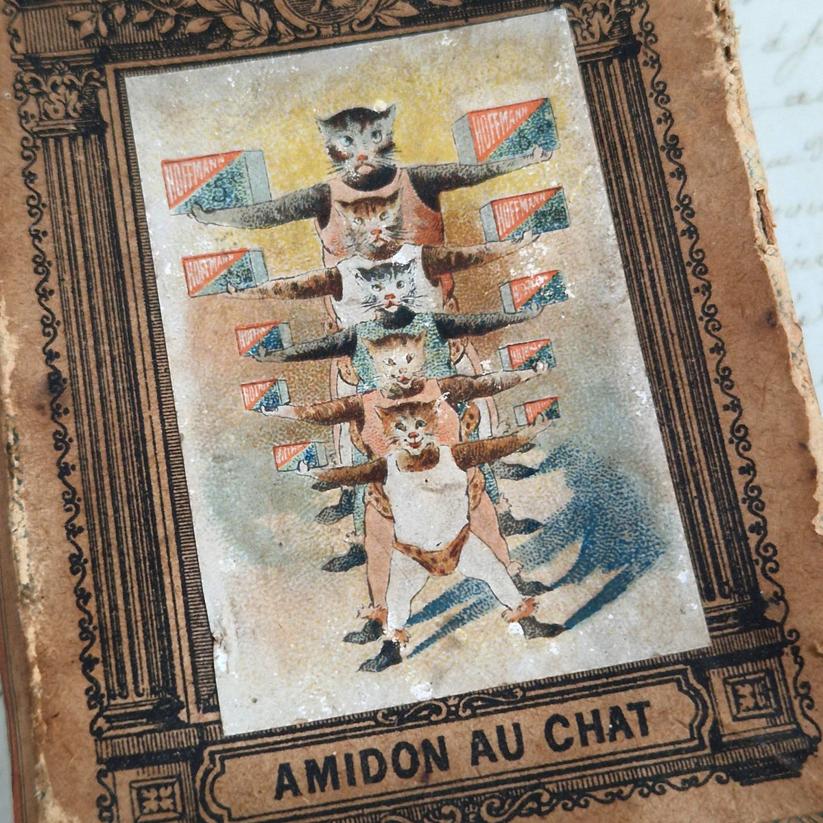 Rare ancienne boîte « Amidon au Chat » - Hoffmann