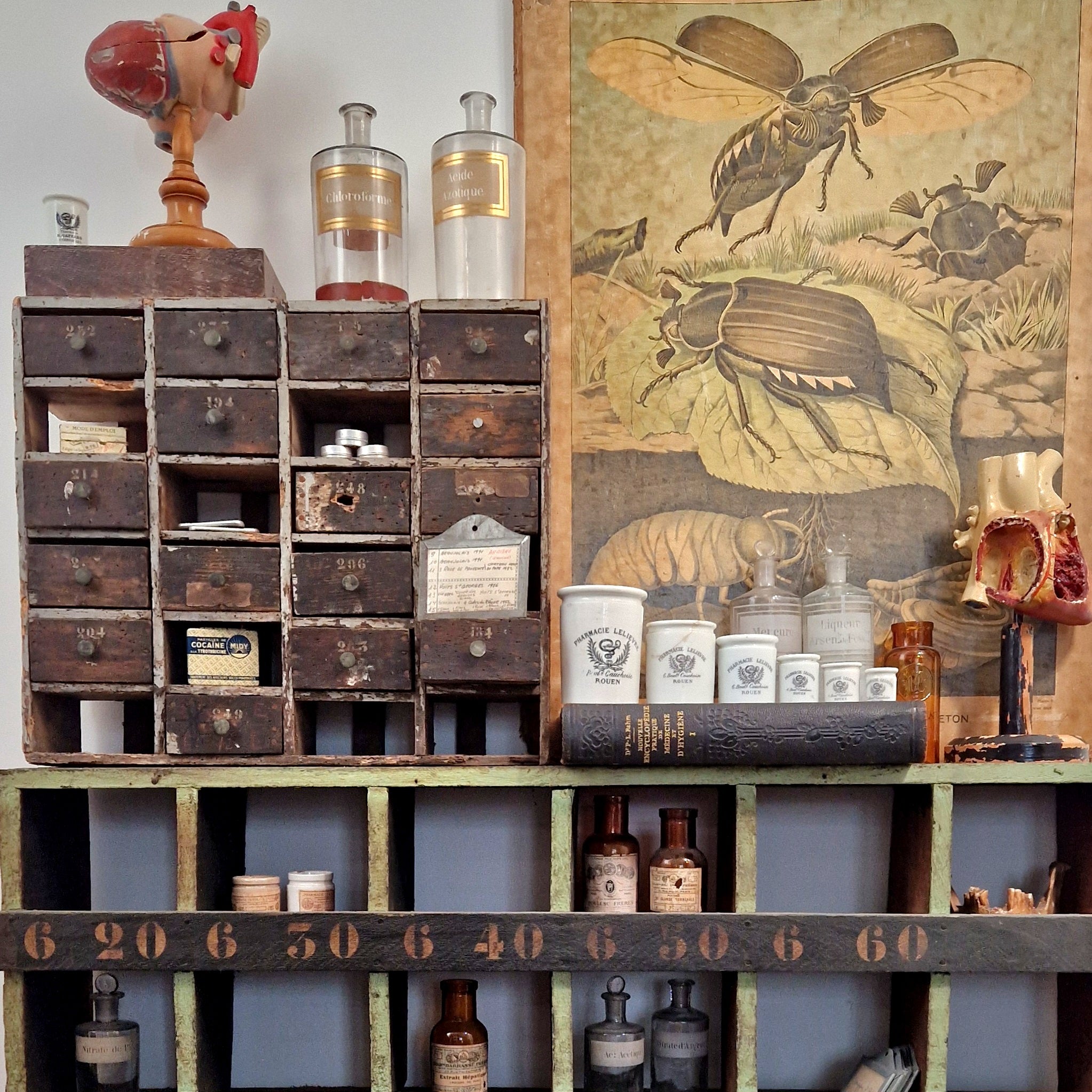 Cabinet de curiosités et objets curieux