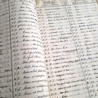 Handwritten Meteorological Register 1920 to 1938