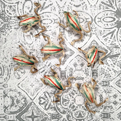 Maurice dacier illustrated game