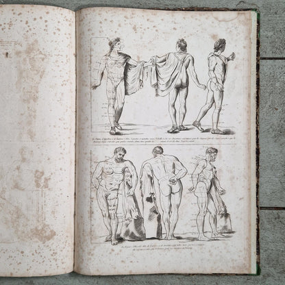 academic drawing plates grand format