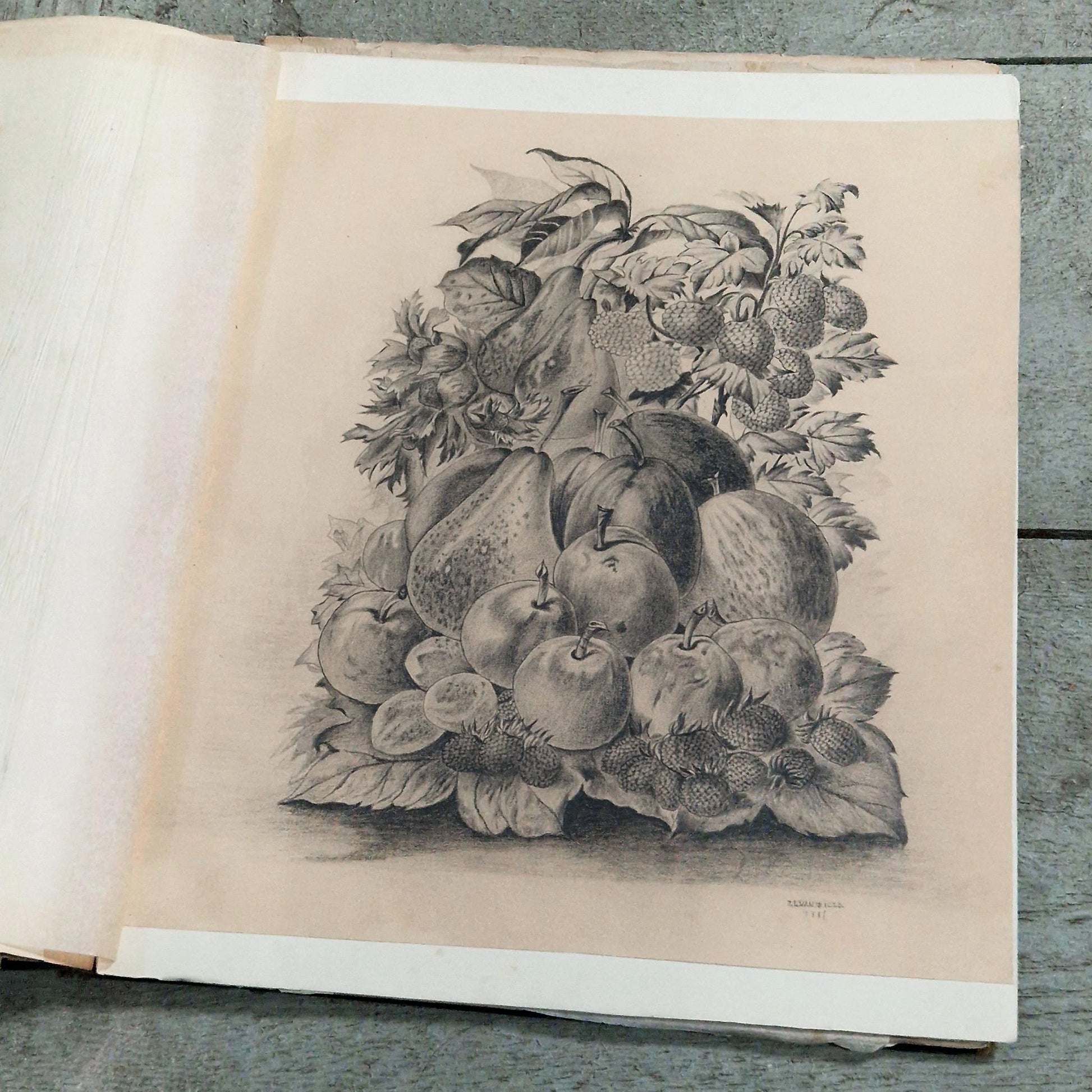 academic drawing sketchbook 1887